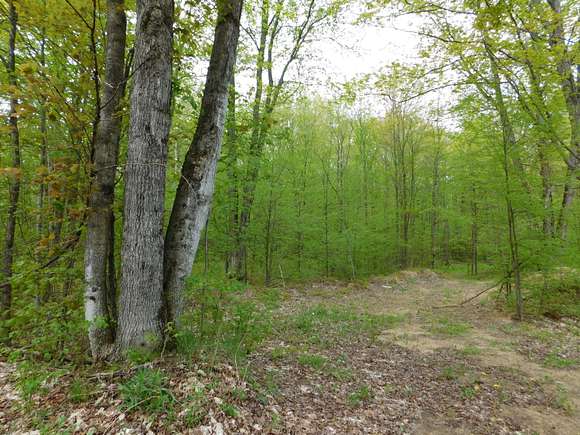 19 Acres of Land for Sale in Frederic, Michigan