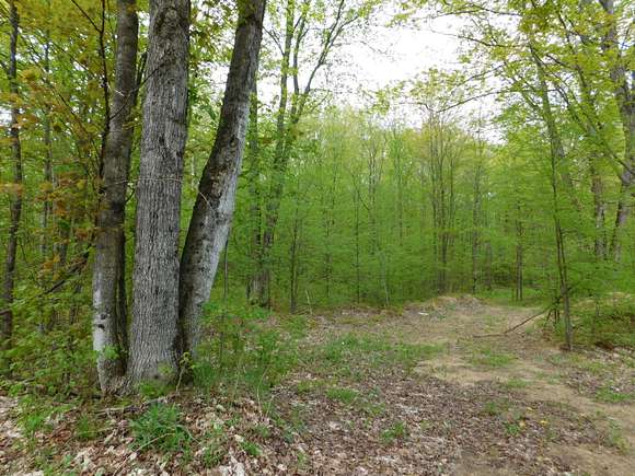 19 Acres of Recreational Land for Sale in Frederic, Michigan