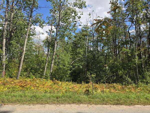 Residential Land for Sale in Gaylord, Michigan