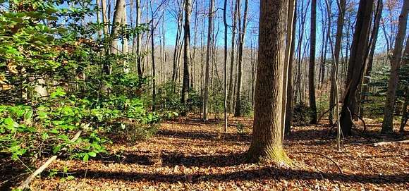 0.92 Acres of Land for Sale in Fayetteville, West Virginia