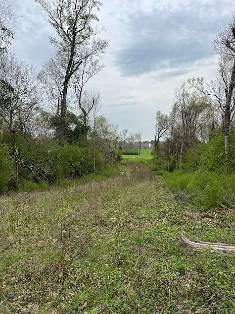 4.8 Acres of Residential Land for Sale in Douglass, Texas