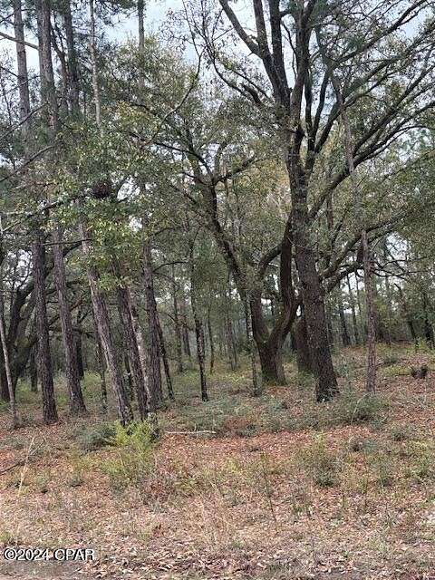 5 Acres of Residential Land for Sale in Chipley, Florida