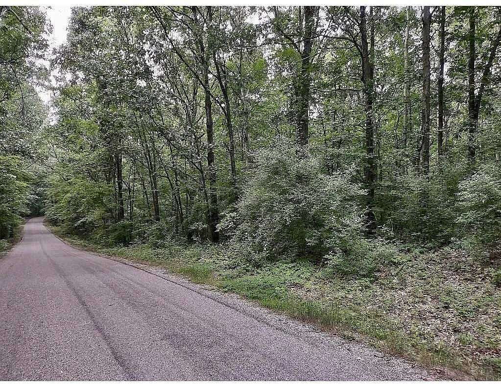 4 Acres of Residential Land for Sale in Ada, Michigan
