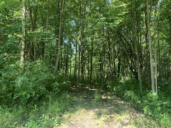 10 Acres of Residential Land for Sale in Willis, Michigan