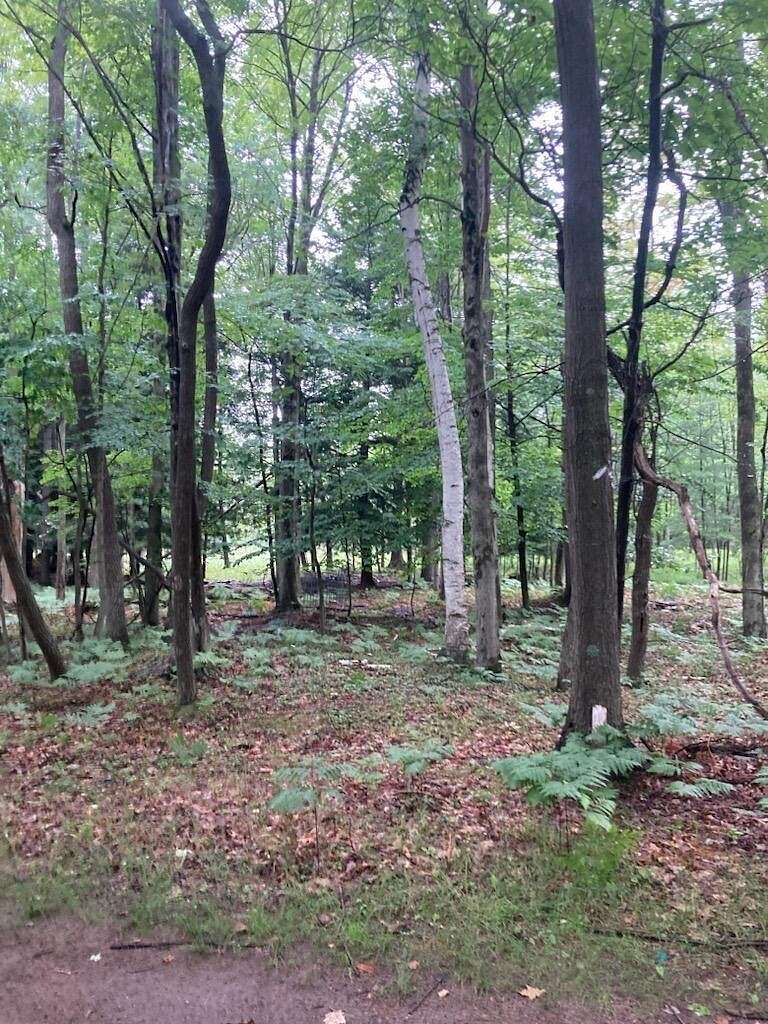 0.25 Acres of Residential Land for Sale in Mears, Michigan