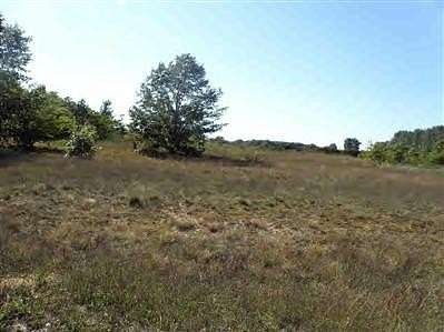 1.87 Acres of Land for Sale in New Era, Michigan