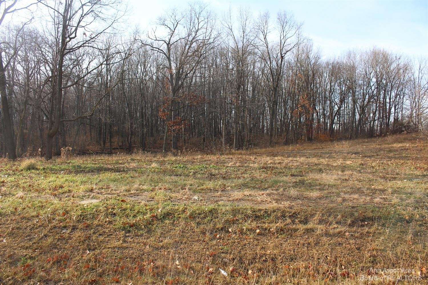 1.2 Acres of Residential Land for Sale in Jackson, Michigan