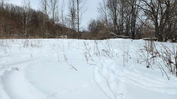 2.1 Acres of Land for Sale in Hesperia, Michigan