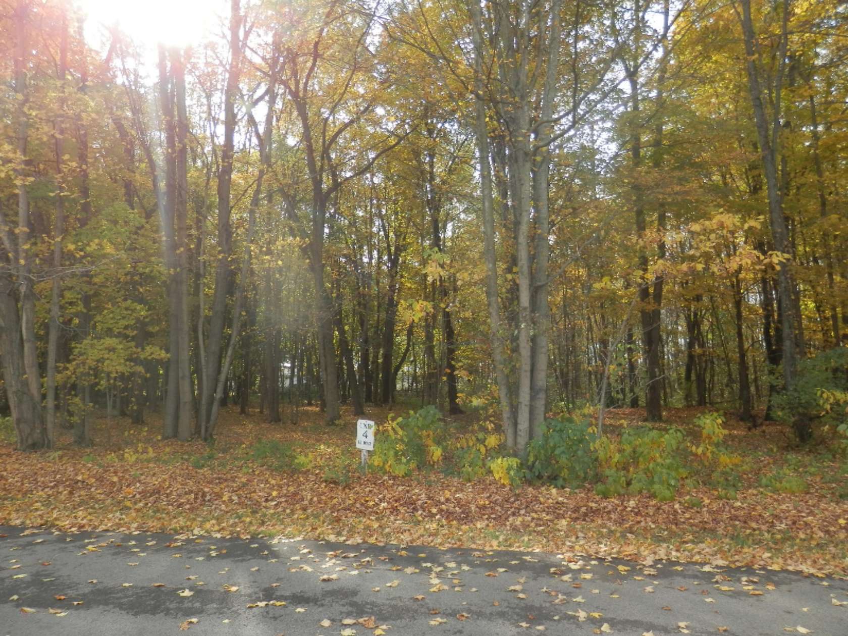 1.2 Acres of Residential Land for Sale in Watervliet, Michigan