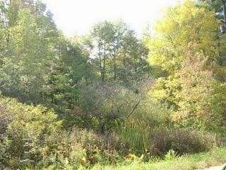 10.6 Acres of Land for Sale in Saugatuck, Michigan