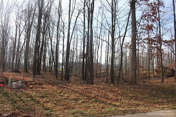 1 Acre of Residential Land for Sale in Jackson, Michigan
