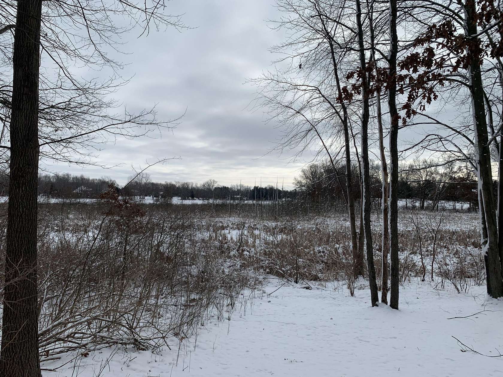 0.36 Acres of Land for Sale in Hamburg, Michigan