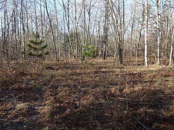 60 Acres of Recreational Land for Sale in Hesperia, Michigan