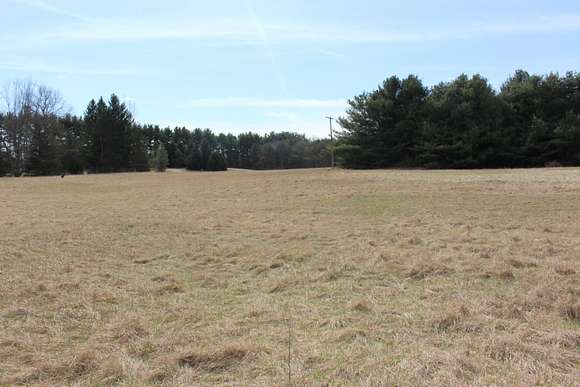 24.4 Acres of Recreational Land for Sale in Grass Lake, Michigan