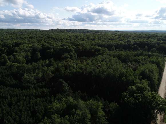 80 Acres of Land for Sale in Chase, Michigan