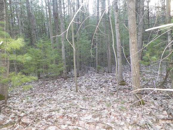 5 Acres of Residential Land for Sale in Cadillac, Michigan