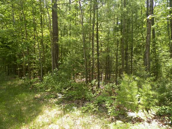 4.99 Acres of Residential Land for Sale in Cadillac, Michigan