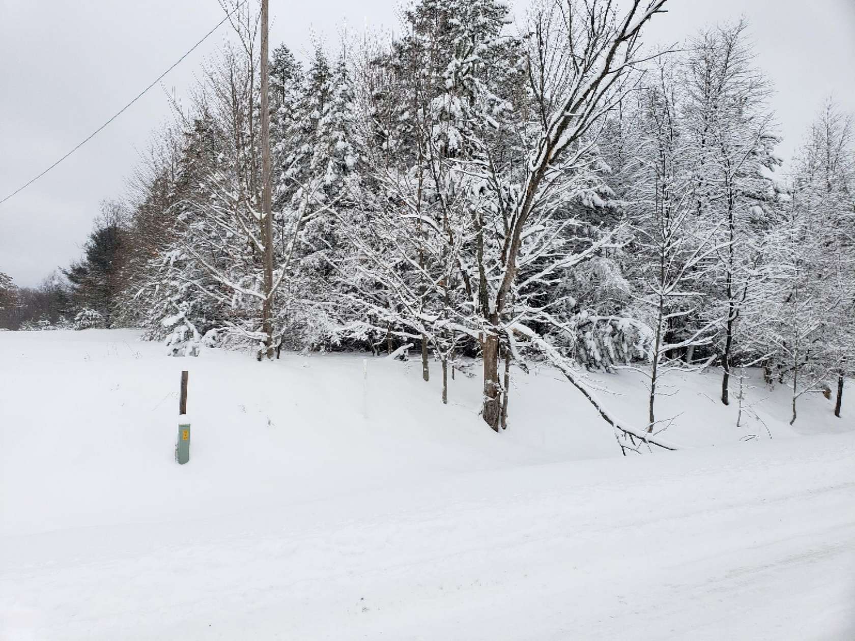 9.75 Acres of Land for Sale in Kaleva, Michigan