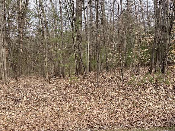 1 Acre of Residential Land for Sale in Gowen, Michigan