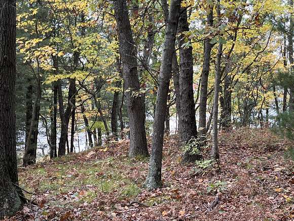 31.8 Acres of Land for Sale in Twin Lake, Michigan