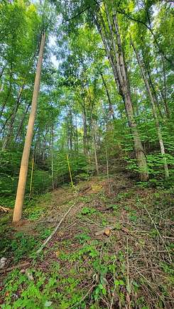 0.38 Acres of Mixed-Use Land for Sale in Gatlinburg, Tennessee