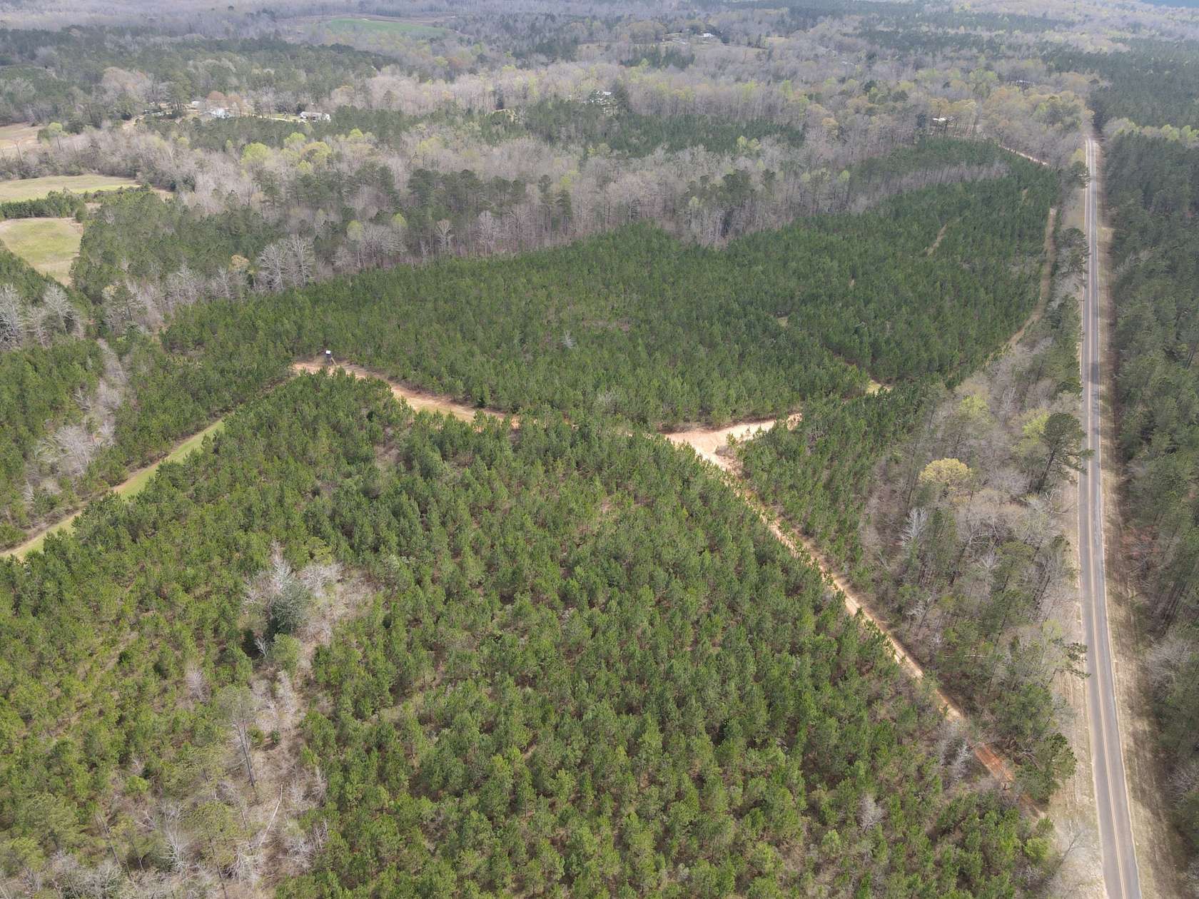 90 Acres of Recreational Land & Farm for Sale in Greenville, Alabama