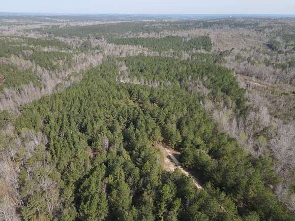 120 Acres of Recreational Land & Farm for Sale in Oak Hill, Alabama