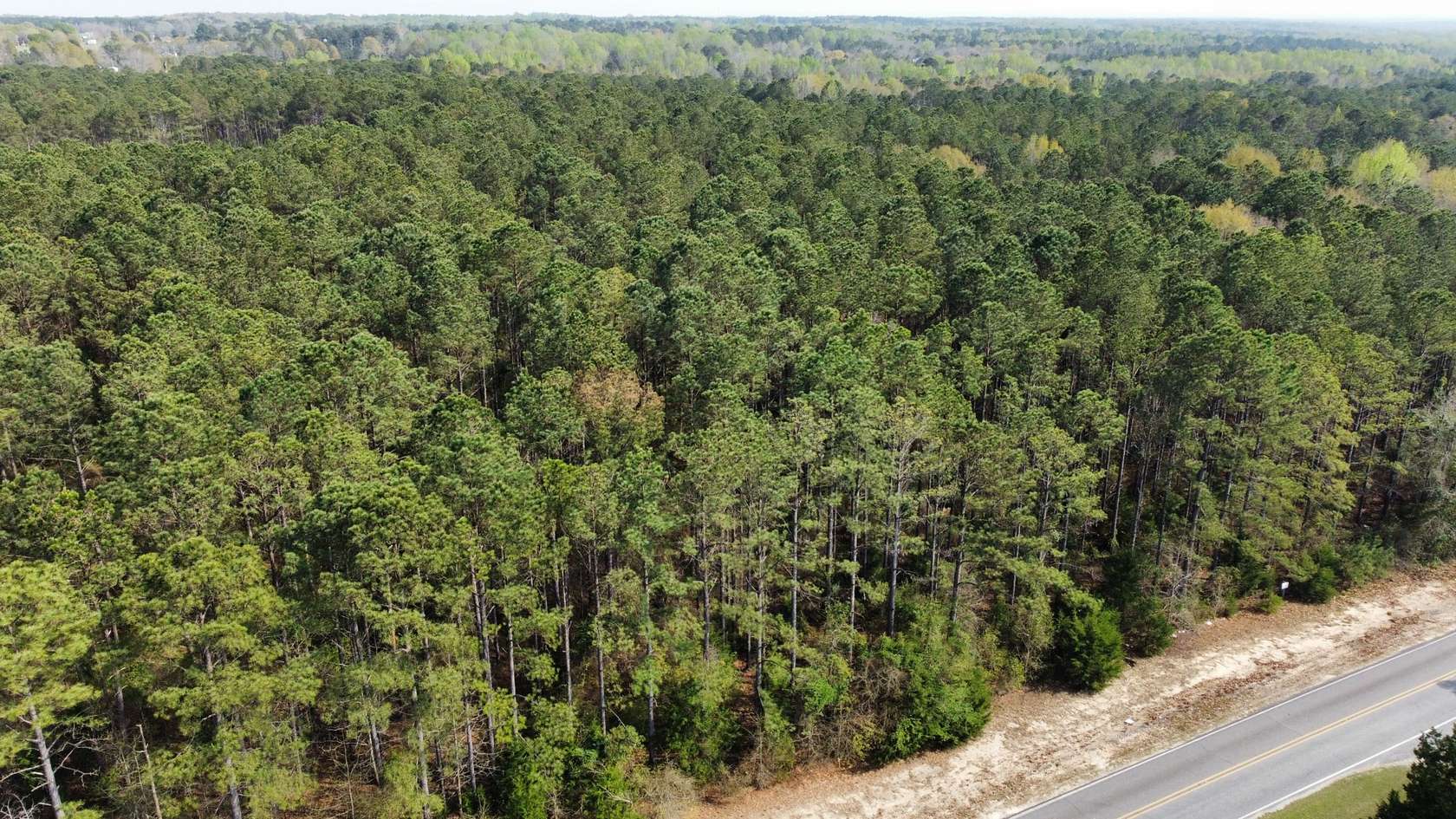3 Acres of Improved Land for Sale in Opelika, Alabama