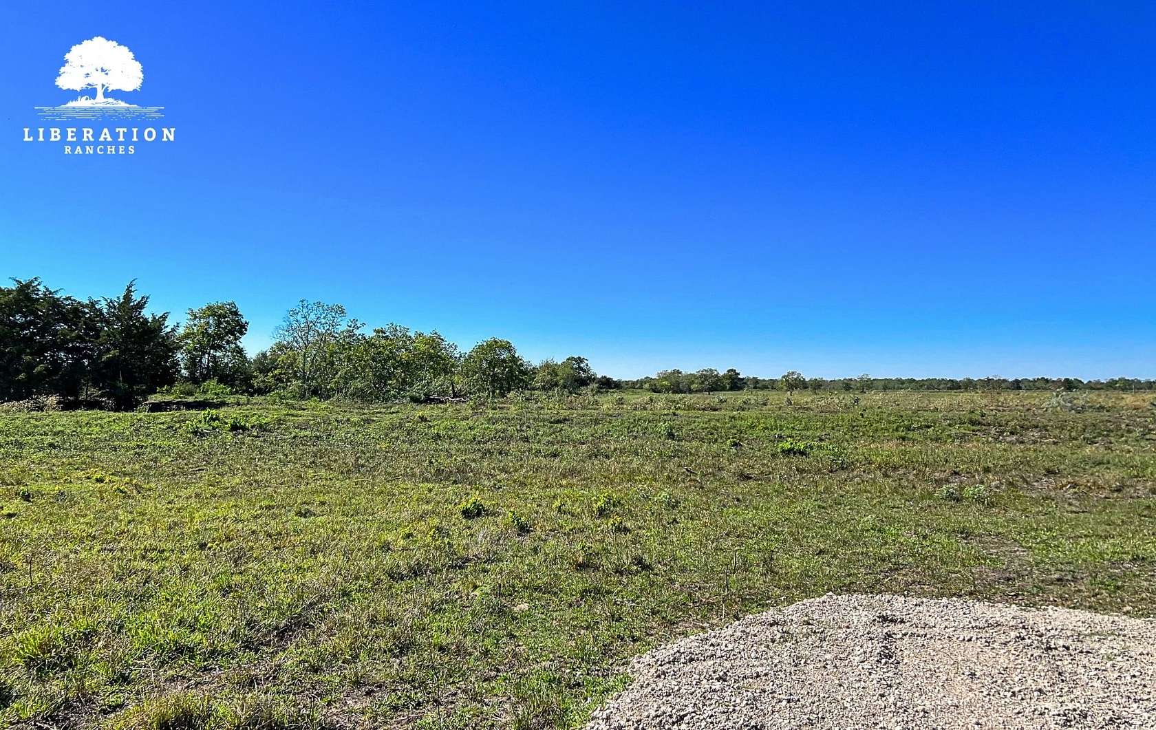 15.2 Acres of Recreational Land & Farm for Sale in Anahuac, Texas
