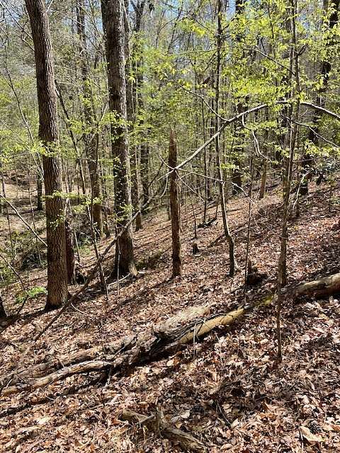 5.2 Acres of Land for Sale in Greenville, Alabama