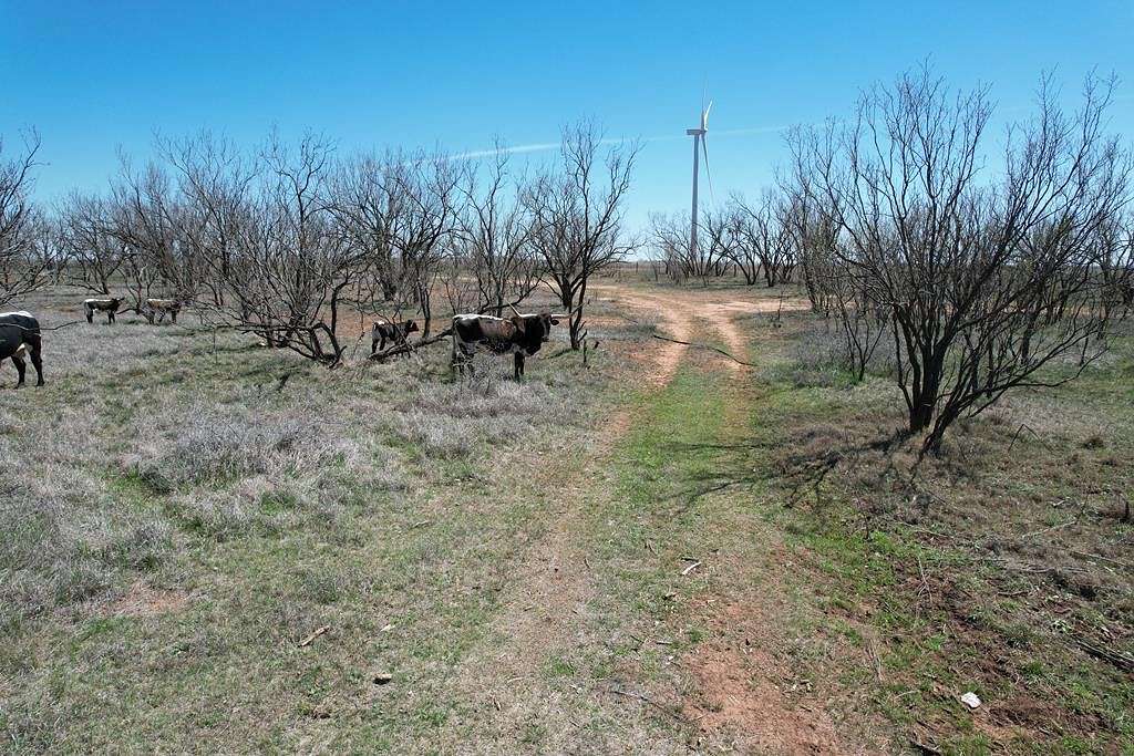 644 Acres of Agricultural Land for Sale in Snyder, Texas