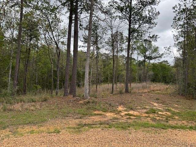 3 Acres of Residential Land for Sale in Summit, Mississippi