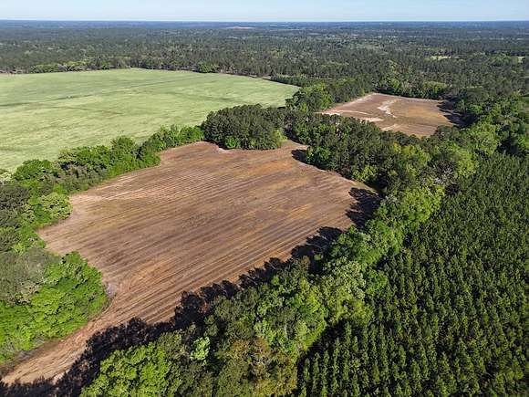 57 Acres of Agricultural Land for Sale in Boston, Georgia