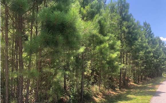 1.03 Acres of Residential Land for Sale in Blairsville, Georgia