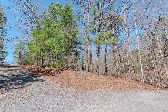 1 Acre of Residential Land for Sale in Talking Rock, Georgia