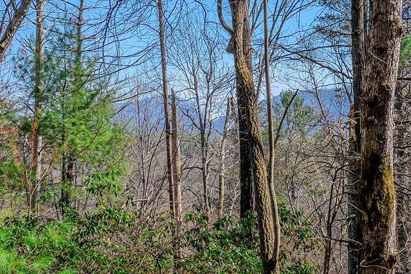 1.5 Acres of Residential Land for Sale in Ellijay, Georgia