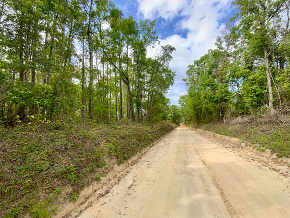 5 Acres of Land for Sale in Pinetta, Florida