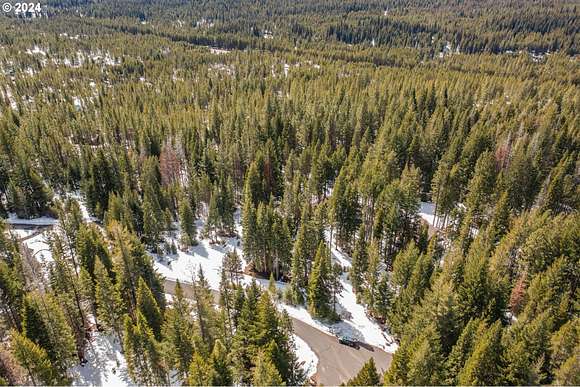 1.1 Acres of Residential Land for Sale in Crescent Lake, Oregon