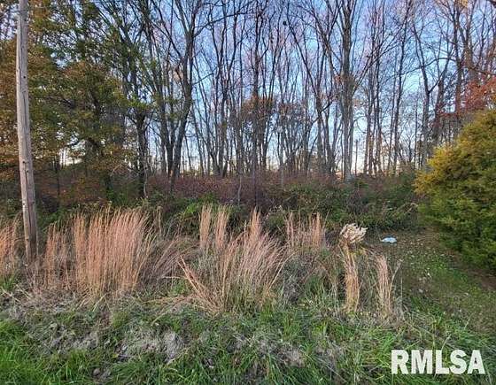 0.33 Acres of Residential Land for Sale in Bluford, Illinois