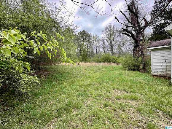 Land For Sale In Sylacauga Al