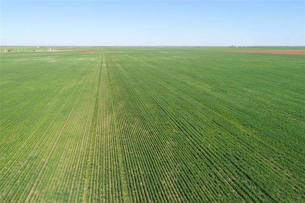 120 Acres of Agricultural Land for Sale in Vernon, Texas