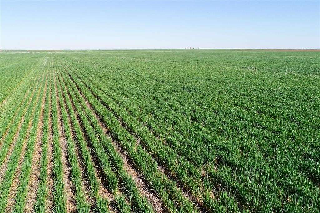 120 Acres of Agricultural Land for Sale in Vernon, Texas