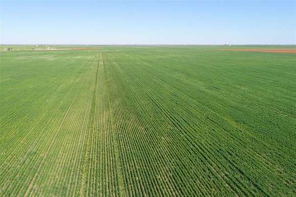 120 Acres of Agricultural Land for Sale in Vernon, Texas