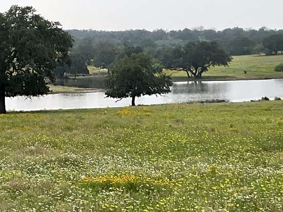 318 Acres of Land with Home for Sale in Rochelle, Texas