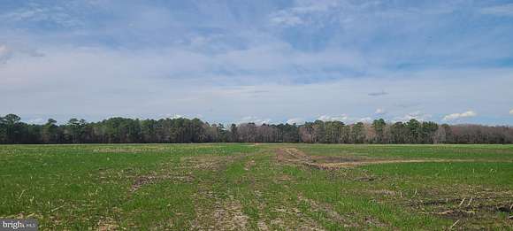 45.1 Acres of Agricultural Land for Sale in Whaleyville, Maryland