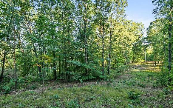 9 Acres of Residential Land for Sale in Ada, Michigan