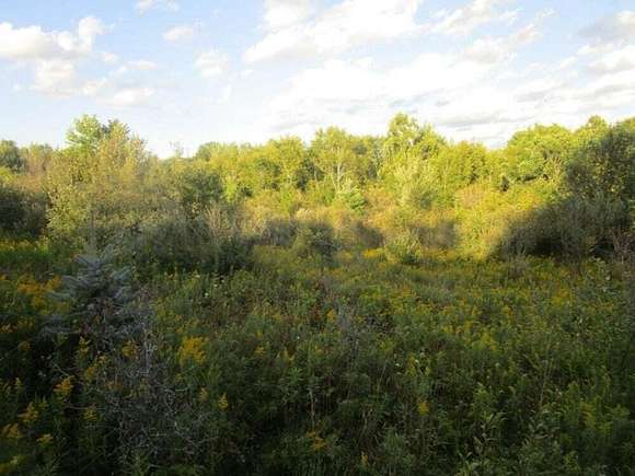 38 Acres of Recreational Land for Sale in Rodney, Michigan