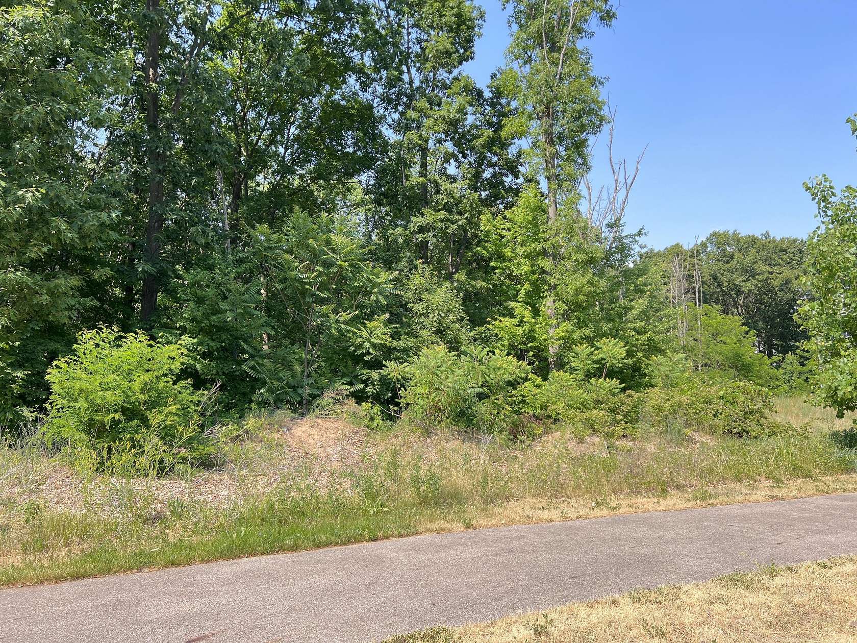 0.45 Acres of Residential Land for Sale in Mattawan, Michigan