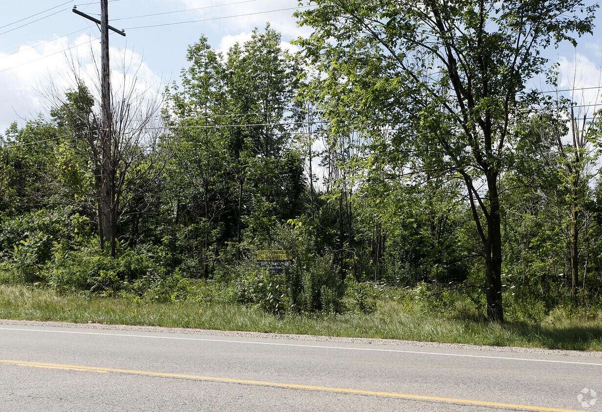 25 Acres of Land for Sale in Howell, Michigan