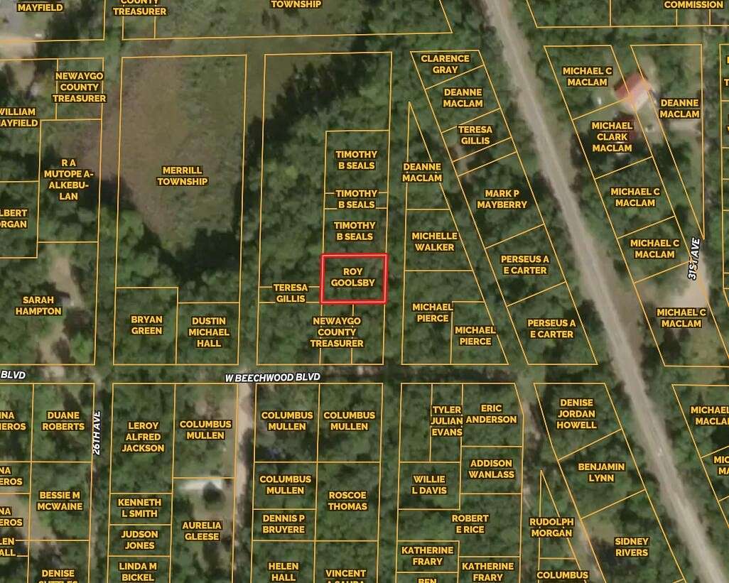 0.17 Acres of Land for Sale in Bitely, Michigan